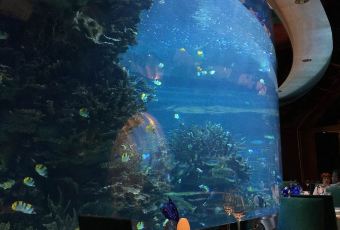 Ristorante L’Olivo at Al Mahara User Photo