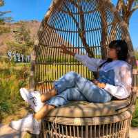 "ชนบท คาเฟ่" เขาใหญ่