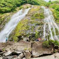 【屋久島】大川の滝