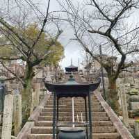 京都　アフロ大仏様