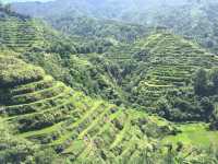 Rice Terraces