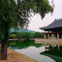 경복궁 야간개장!