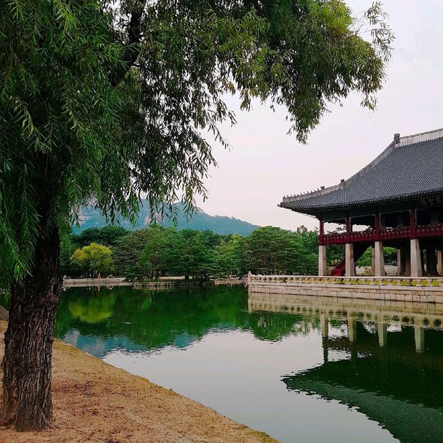 경복궁 야간개장!