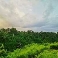 enjoy the lush green while burn calories