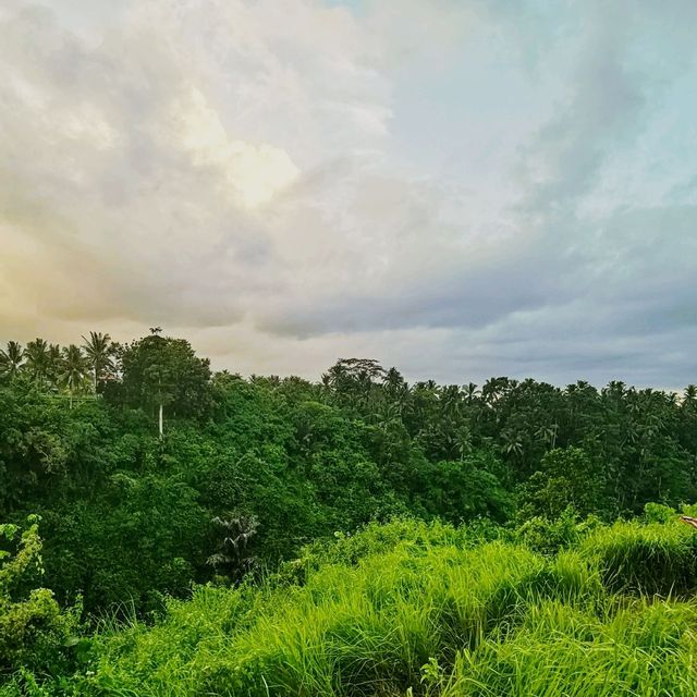 enjoy the lush green while burn calories