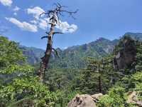 Seoraksan National Park