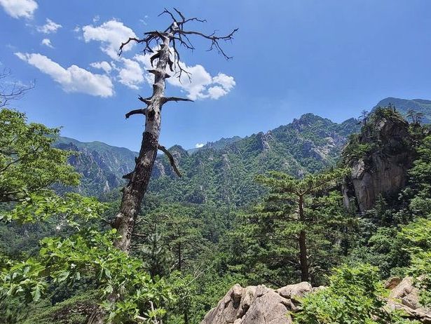 Seoraksan National Park