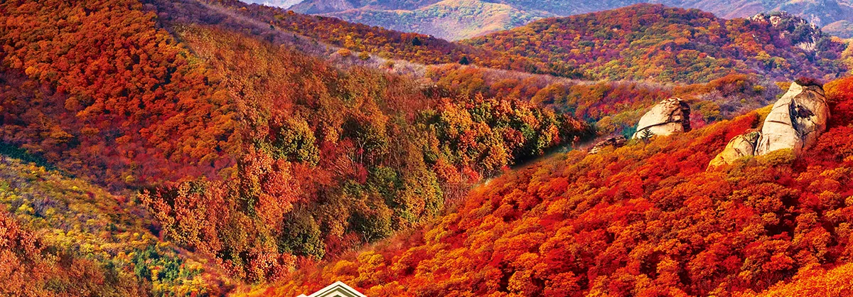 Attrazioni per la visione autunnale