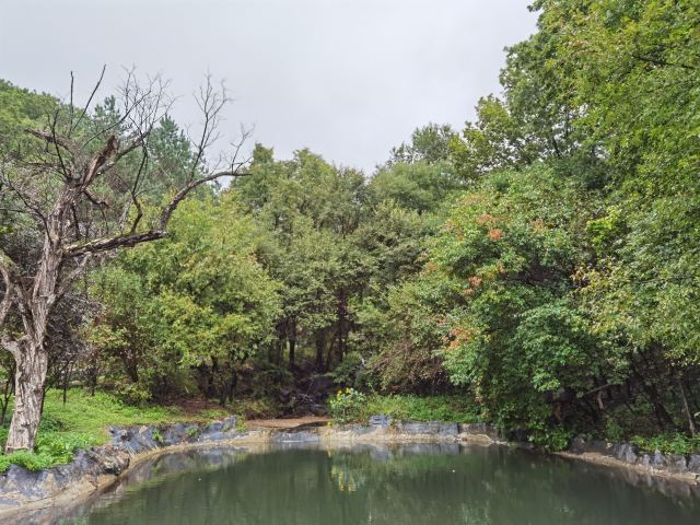 朱雀山森林公園