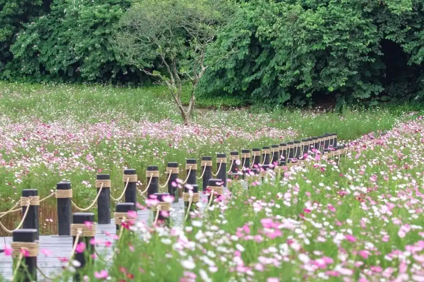 5_Haizhu National Wetland Park
