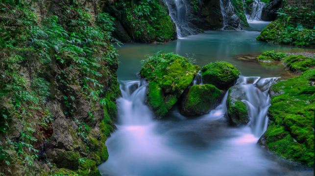 萬盛黑山谷+石林風景區一日遊【重慶出發】