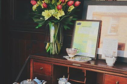 The Butterfly and the Pig