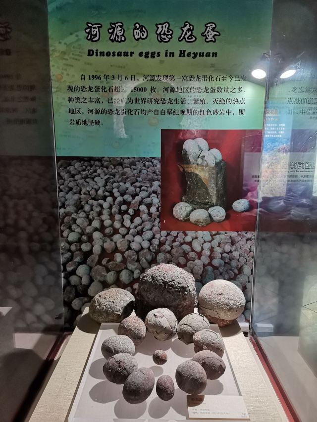 Heyuan City Museum (Heyuan Dinosaur Museum)