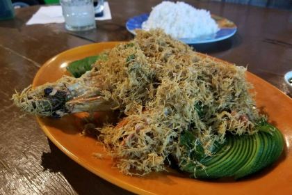 Wonderland Food Store