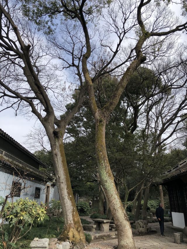 치위안 관광지구