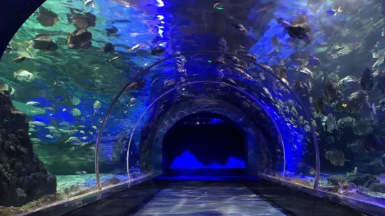 Zunyi Ocean World