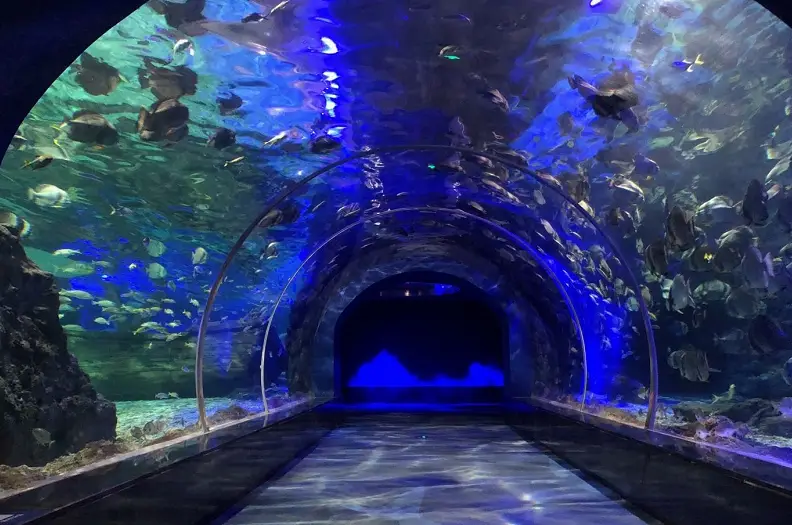 Zunyi Ocean World