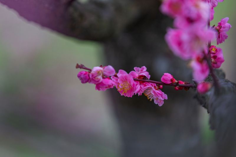 欧韻公園