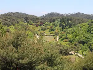 바리산