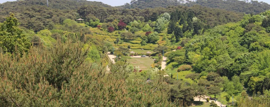 八排山