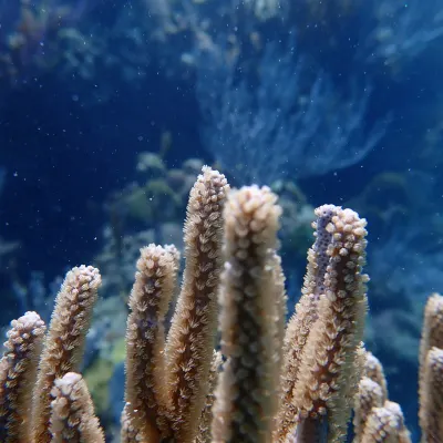 С видом на море Отели в г. Тринкомали