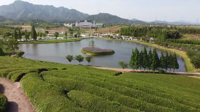 The Tea Garden (Huatian Town) Wuyi