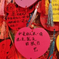 梁先森·酸奶 User Photo