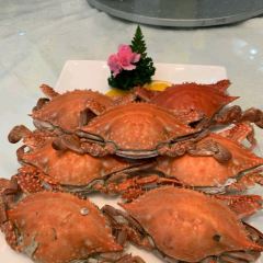 秦皇岛海天一色酒店(西港花园店)·海鲜自助餐厅 User Photo