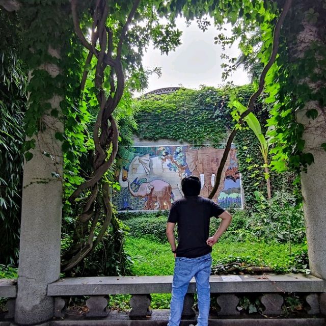 FREE Entrance @ Shanghai Zoo this Summer