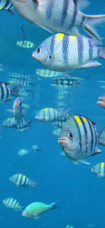 鄰近Flora Bay的酒店