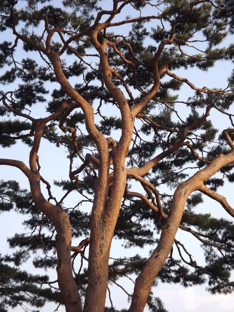 Hotels in Jecheon-si