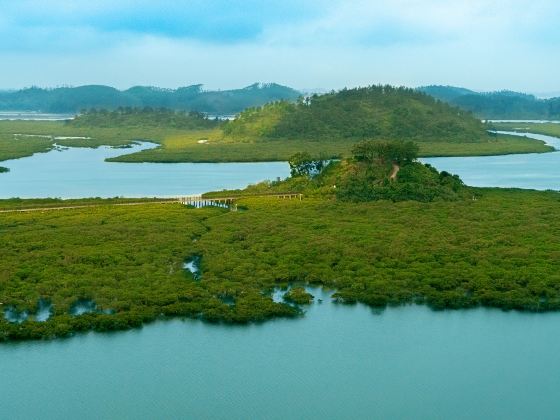 仙島公園