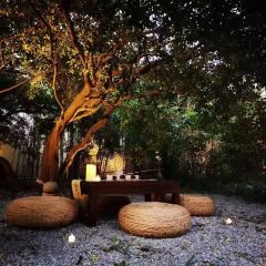 Cedar lounge張用戶圖片