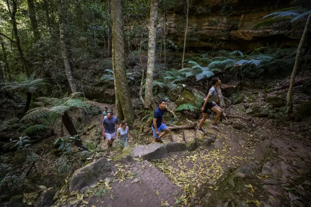 5 Incredible Road Trips from Sydney