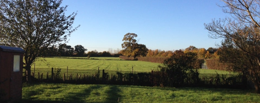 Downside Common
