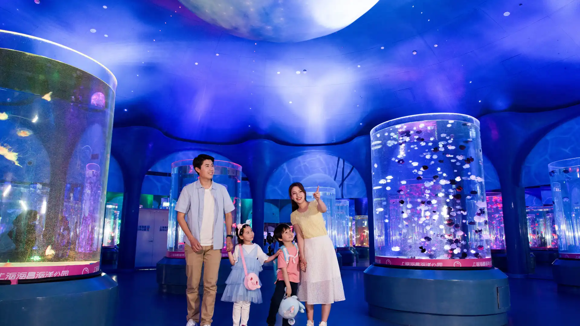 Hotels near Coral Jellyfish Aquarium
