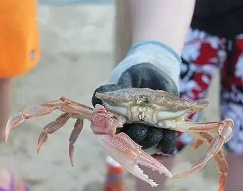 Beachcombing in Lianjiang