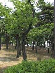 須磨浦公園