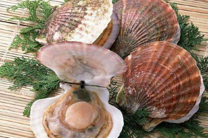 波羅蜜多·自助餐廳