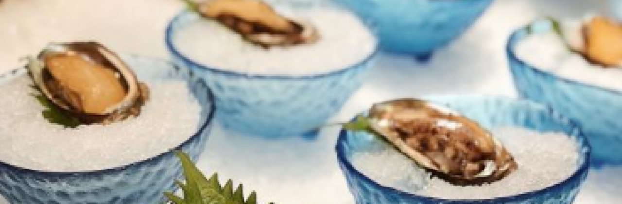 HAI DING HUI HAI XIAN ZI ZAO