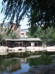 Xi Garden