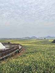 Luoping Rapeseed Main Assembly Hall