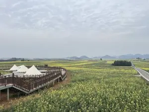 Luoping Rapeseed Main Assembly Hall