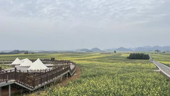Luoping Rapeseed Main Assembly Hall