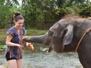 Elephant Care Park Nai Dee Phuket