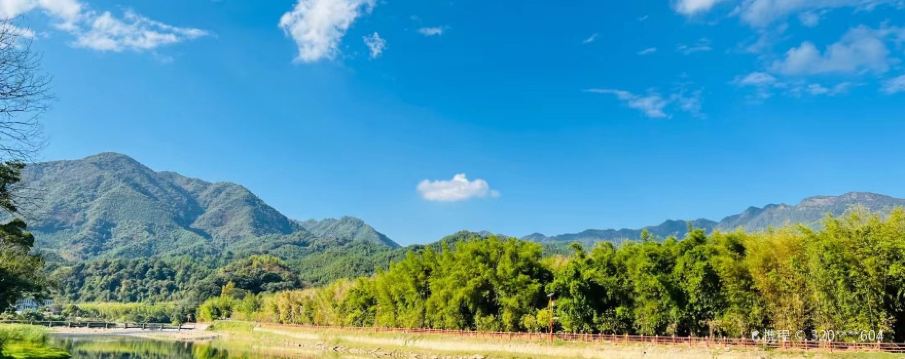 สื่อซิ่ง