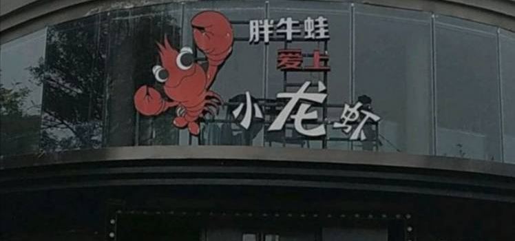 胖牛蛙爱上小龙虾