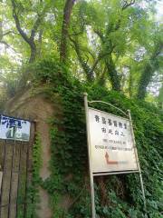 Christian Church at Longshan Road in Qingdao