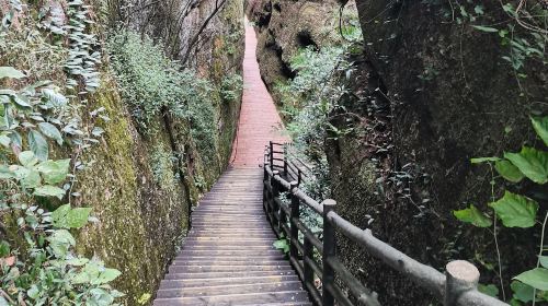 Longhu Mountain Skywalk