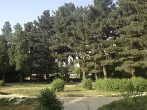 Parco Shahr-e Naw